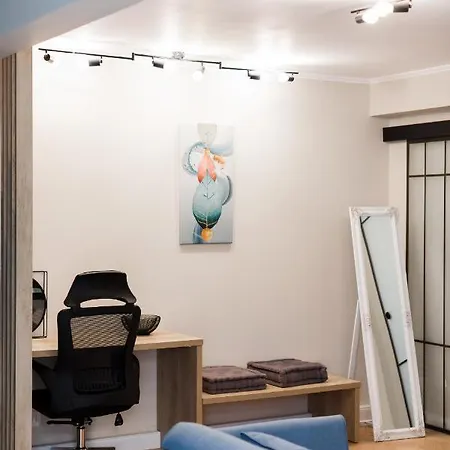 Apartment Vladu *